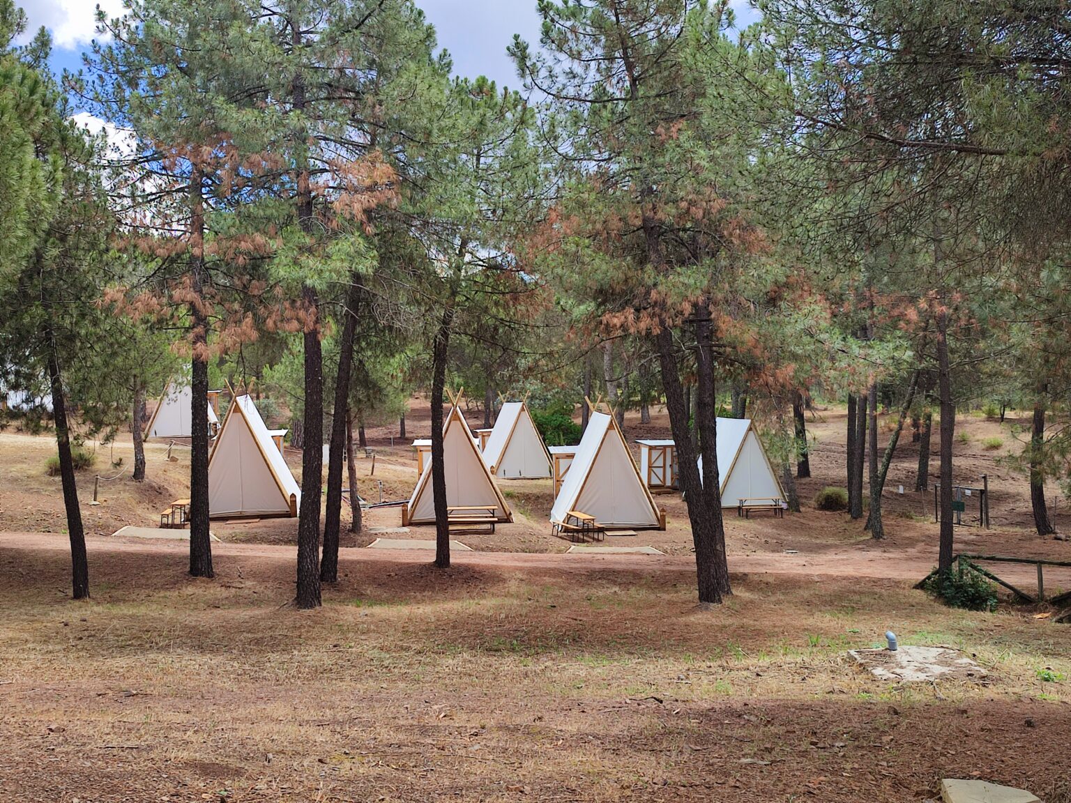 Parcelas de acampada entre robles en Camping Los Villares, Sierra de Córdoba